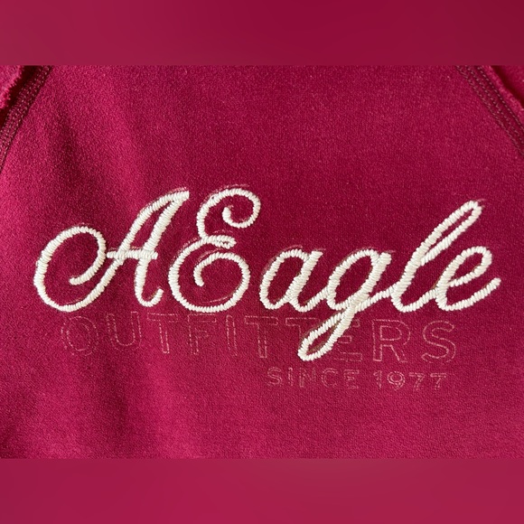 American Eagle 🦅 Outfitters hoodie sweater sweatshirt - Picture 5 of 16